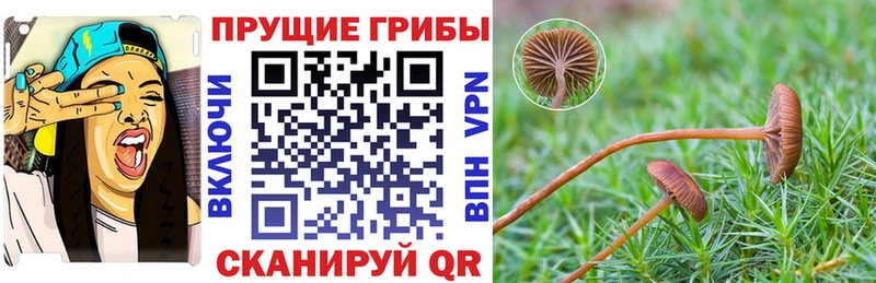 Купить  Липецк  Псилоцибиновые грибы мухоморы 